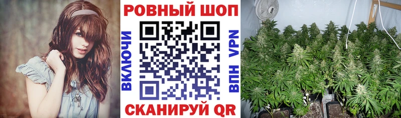 Магазины продажи наркотиков Славск Псилоцибиновые грибы  МЕТАДОН  Alpha-PVP  ГАШ  COCAIN  Каннабис  Меф мяу мяу 