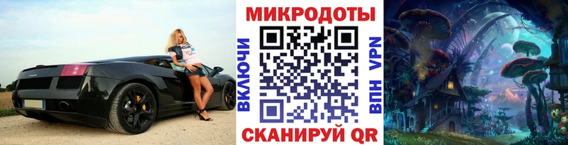 где купить наркотик  Славск  Галлюциногенные грибы мицелий 